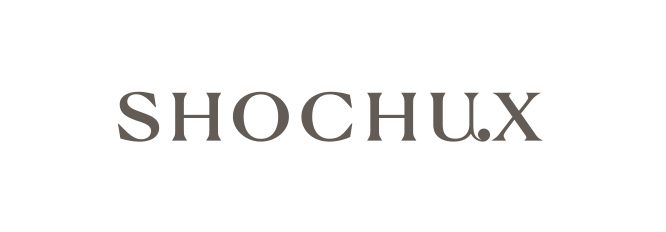 株式会社SHOCHU X